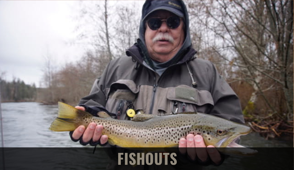 Brown trout caught at a Fishout